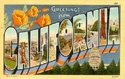 Greetings from California Vintage Postcard